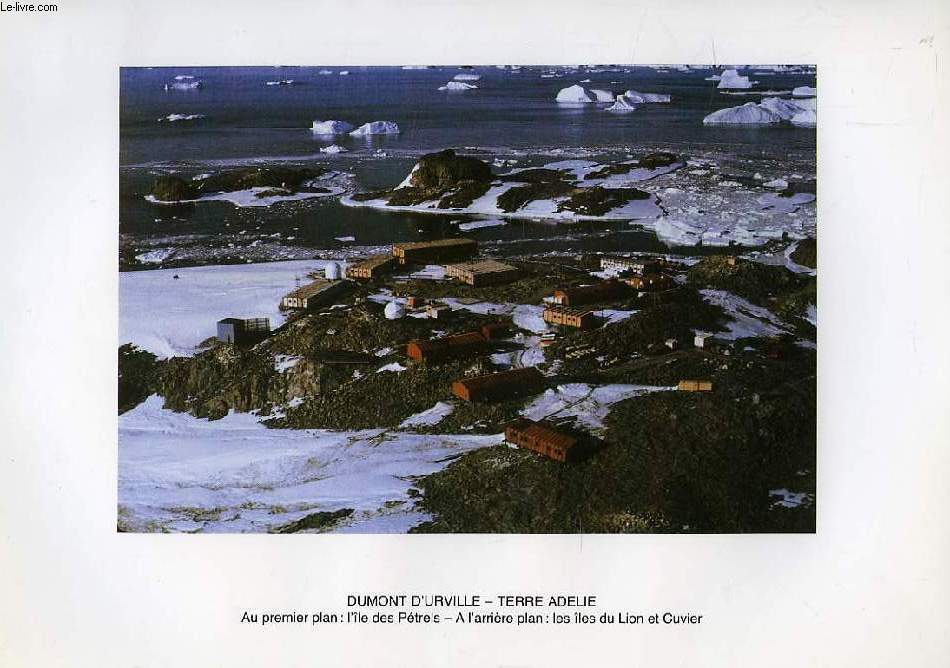 PHOTOGRAPHIES DES EXPEDITIONS POLAIRES FRANCAISES: BASE DUMONT D'URVILLE, TERRE ADELIE, MANCHOTS