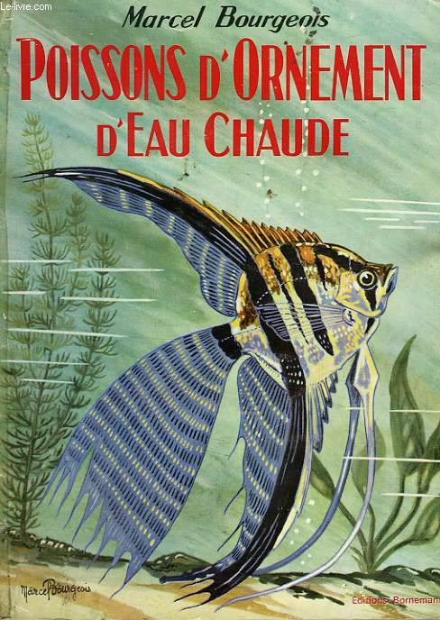 POISSONS D'ORNEMENT D'EAU CHAUDE