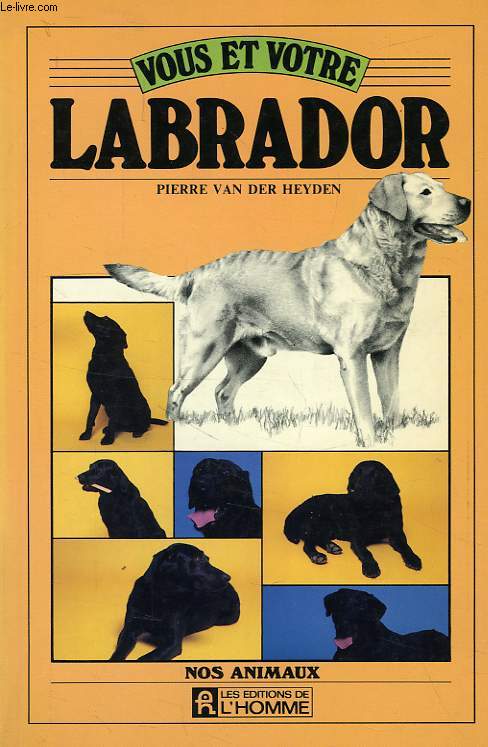 VOUS ET VOTRE LABRADOR