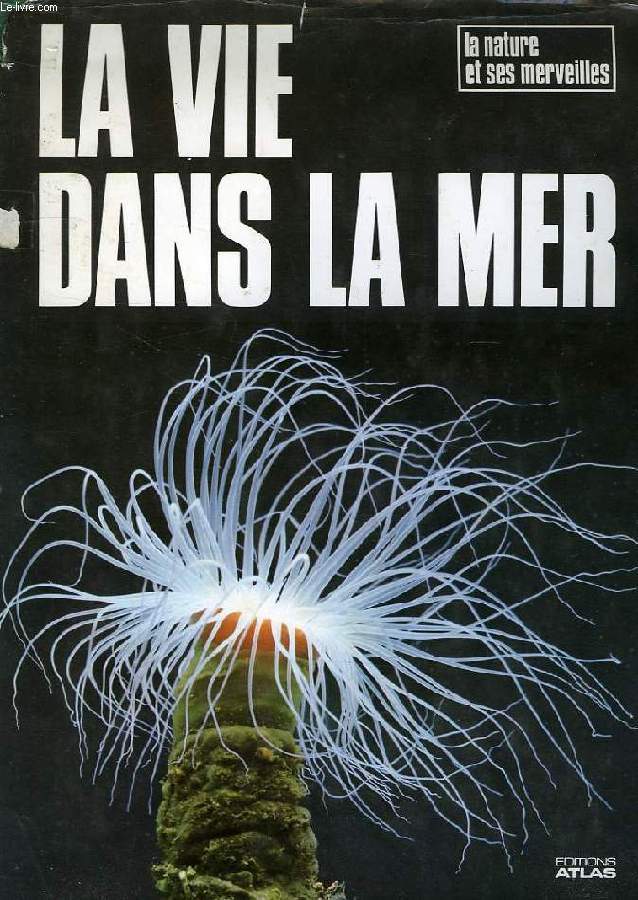LA VIE DANS LA MER