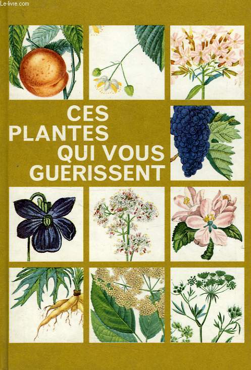 CES PLANTES QUI VOUS GUERISSENT, III