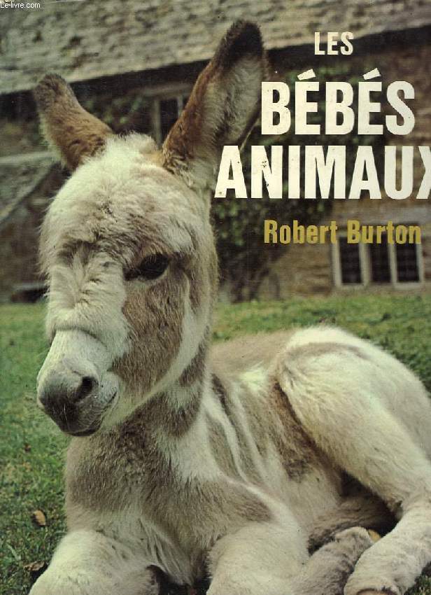 LES BEBES ANIMAUX