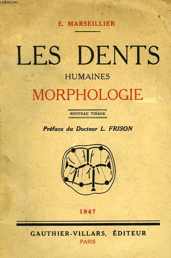 LES DENTS HUMAINES, MORPHOLOGIE