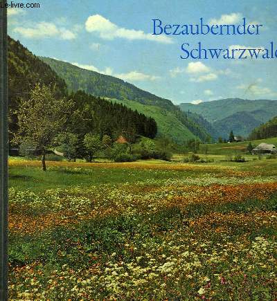 BEZAUBERNDER SCHWARZWALD