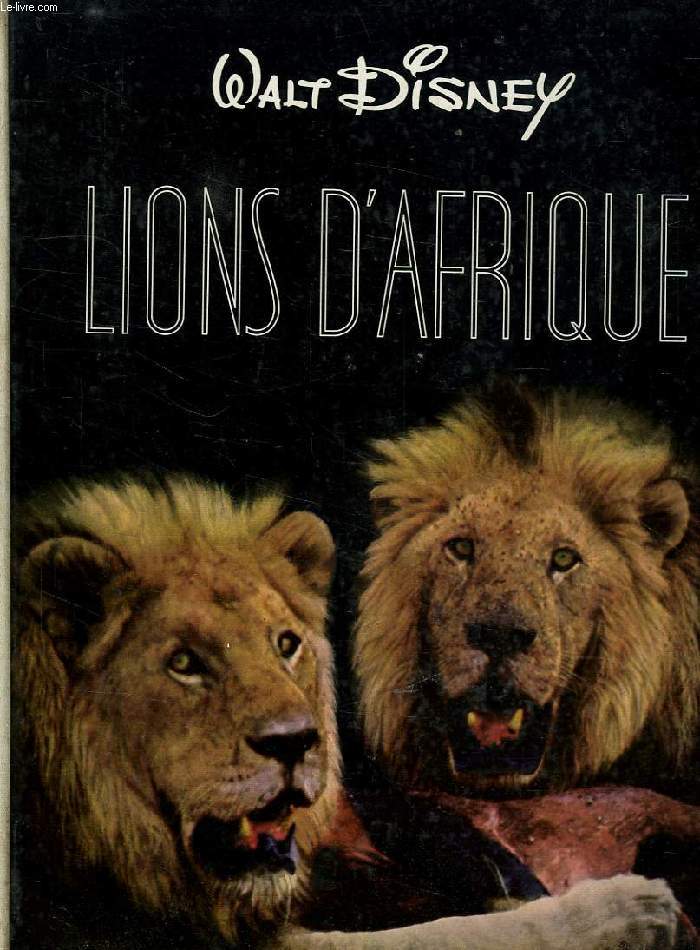 LIONS D'AFRIQUE