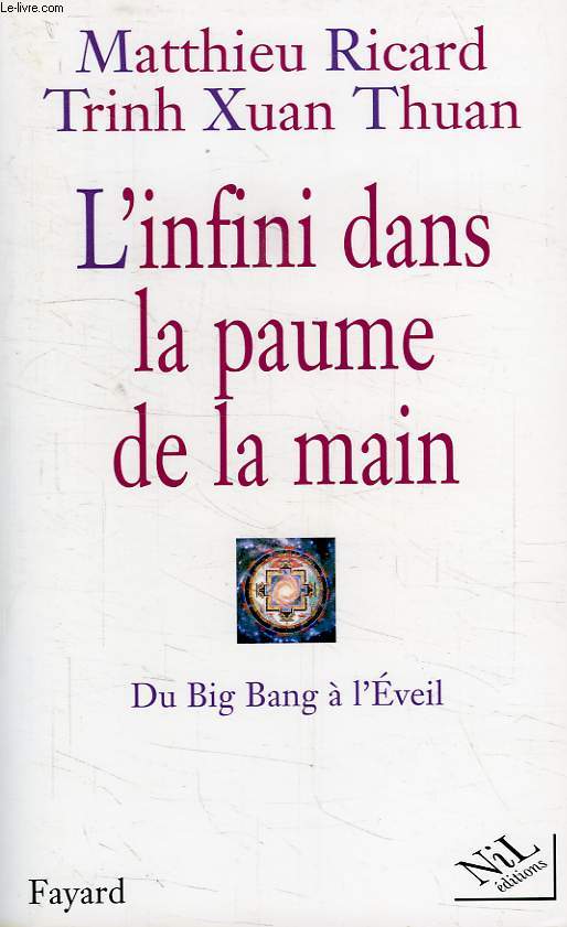 L'INFINI DANS LA PAUME DE LA MAIN, DU BIG BANG A L'EVEIL