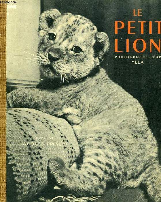 LE PETIT LION