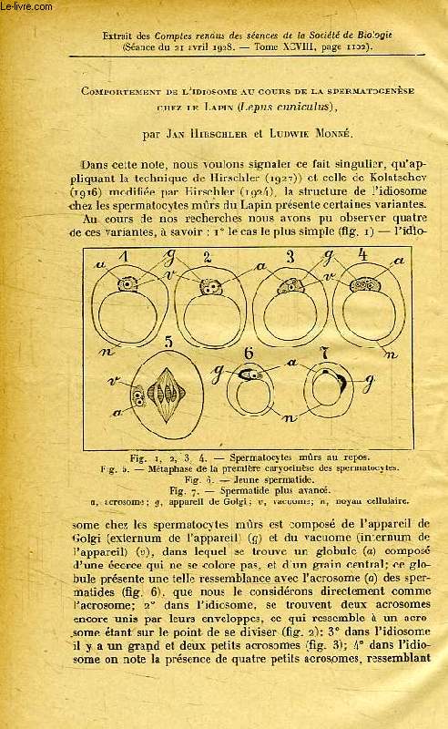 COMPORTEMENT DE L'IDIOSOME AU COURS DE LA SPERMATOGENESE CHEZ LE LAPIN (LEPUS CUNICULUS)