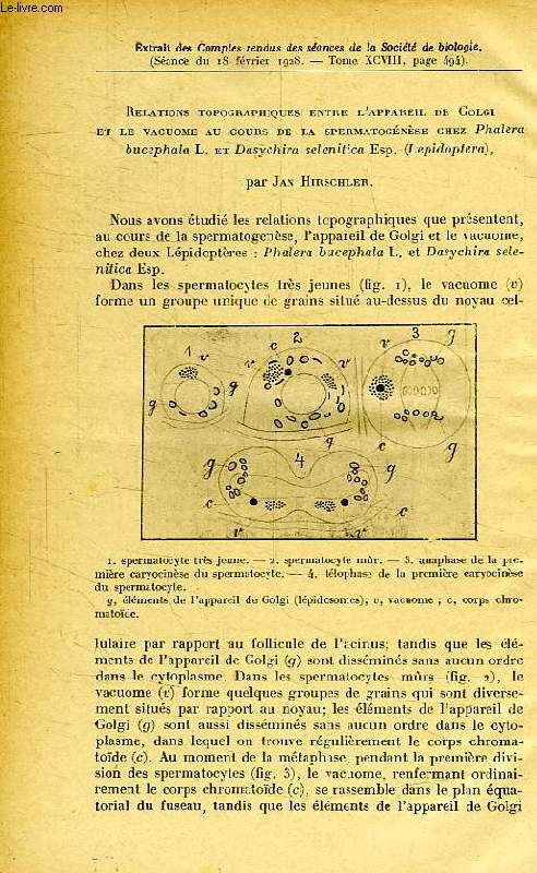 RELATIONS TOPOGRAPHIQUES ENTRE L'APPAREIL DE GOLGI ET LE VACUOME AU COURS DE LA SPERMATOGENESE CHEZ PHALERA BUCEPHAL L. ET DASYCHIR SELENITICA ESP. (LEPIDOPTERA)