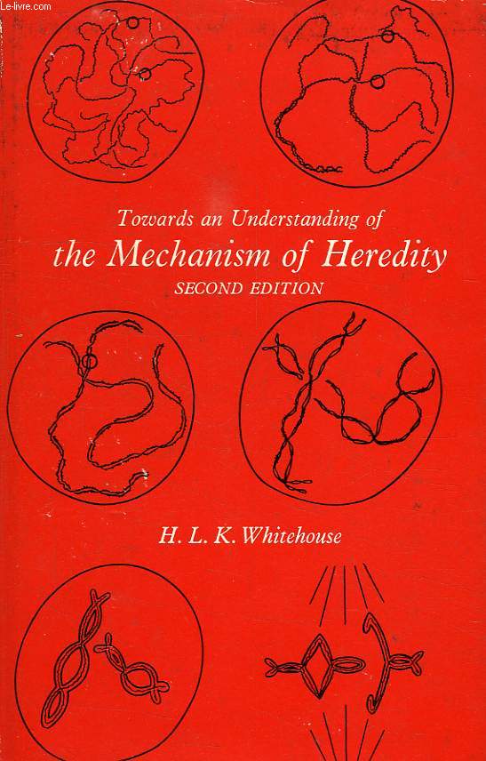 TOWARDS AN UNDERSTANDING OF THE MECHANISM OF HEREDITY