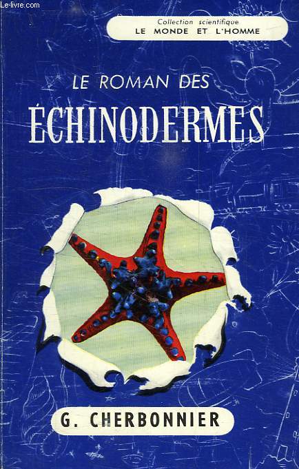 LES ECHINODERMES