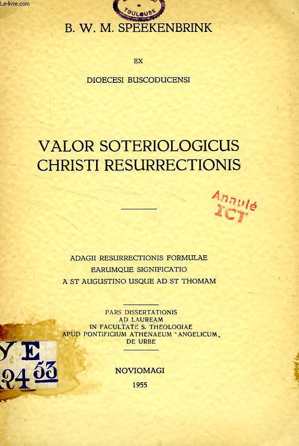 VALOR SOTERIOLOGICUS CHRISTI RESURRECTIONIS