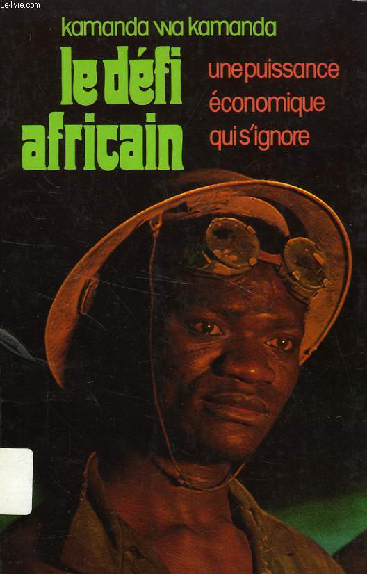 LE DEFI AFRICAIN, UNE PUISSANCE ECONOMIQUE QUI S'IGNORE