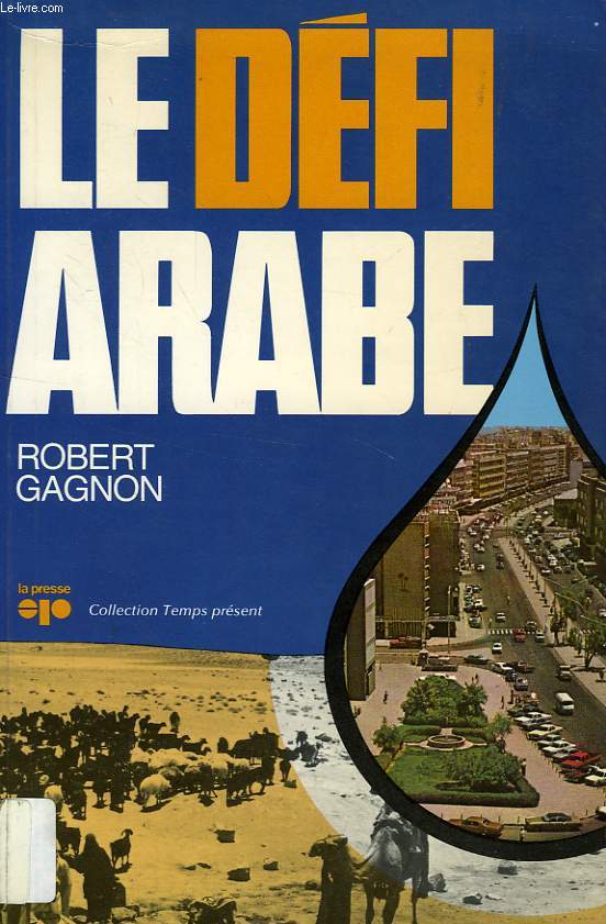 LE DEFI ARABE