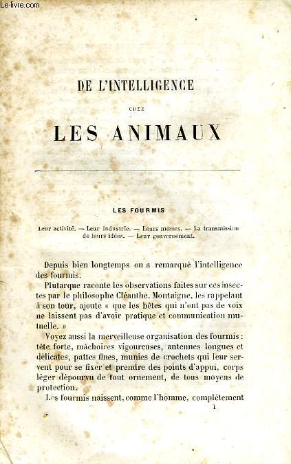 L'INTELLIGENCE DES ANIMAUX