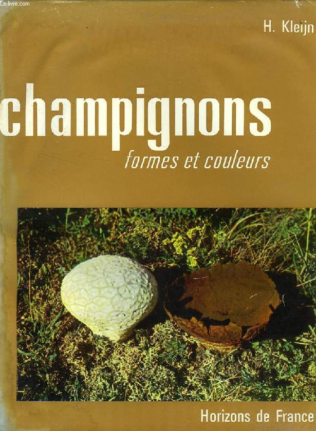 CHAMPIGNONS, FORMES ET COULEURS