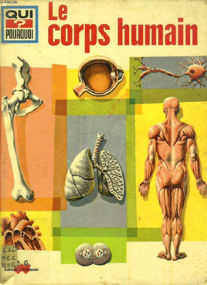 QUI ? POURQUOI ? LE CORPS HUMAIN