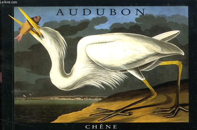 AUDUBON