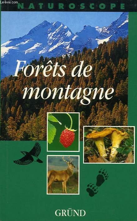 FORETS DE MONTAGNE
