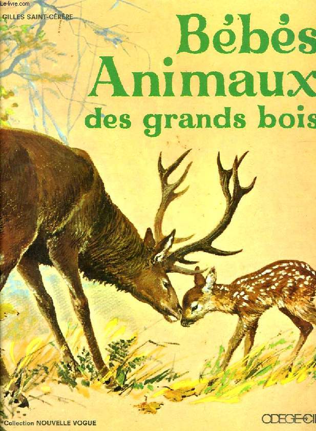 BEBES ANIMAUX DES GRANDS BOIS