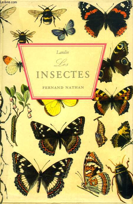 LES INSECTES