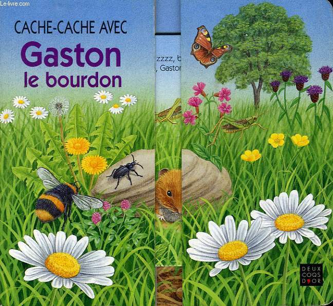 CACHE-CACHE AVEC GASTON LE BOURDON