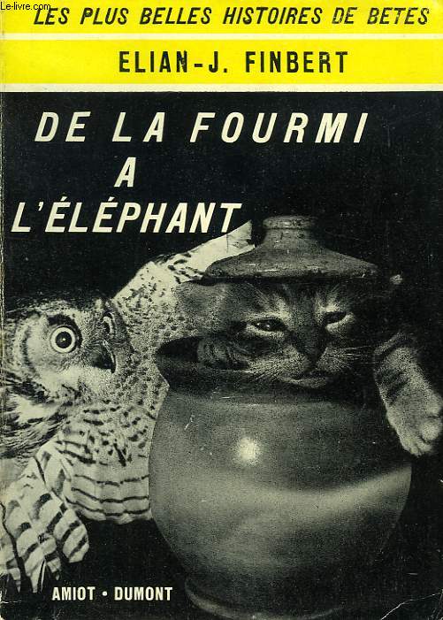 DE LA FOURMI A L'ELEPHANT