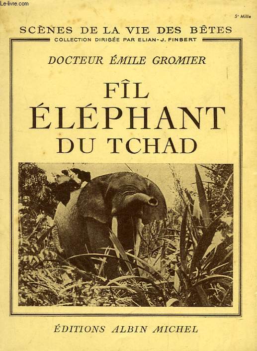 FL, ELEPHANT DU TCHAD
