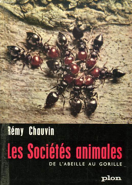 LES SOCIETES ANIMALES, DE L'ABEILLE AU GORILLE