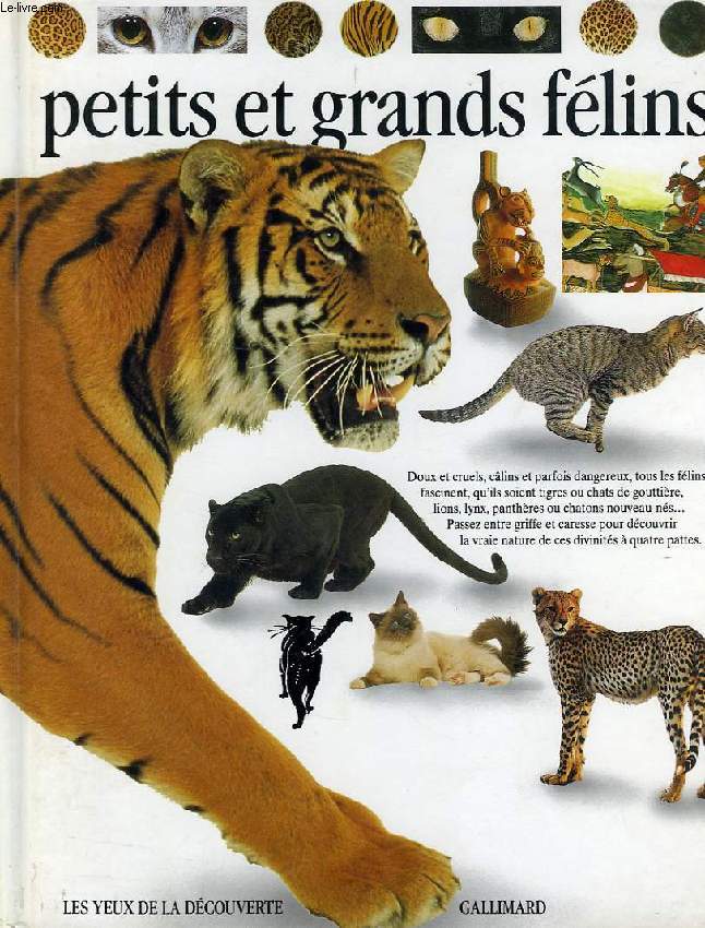 PETITS ET GRANDS FELINS