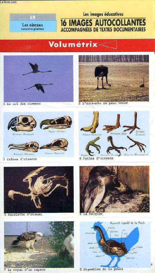 IMAGES AUTOCOLLANTES VOLUMETRIX, N 19, LES OISEAUX, CARACTERES GENERAUX