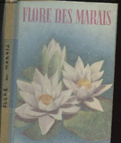 FLORE DES MARAIS - N26