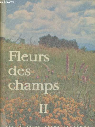 FLEURS DES CHAMPS II - N20