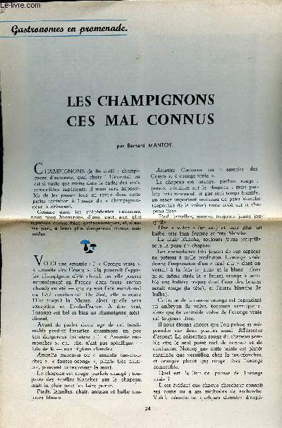 POCHETTE EN PASTIQUE CONTENANT DES ARTICLES DE JOURNAUX SUR LES CHAMPIGNONS