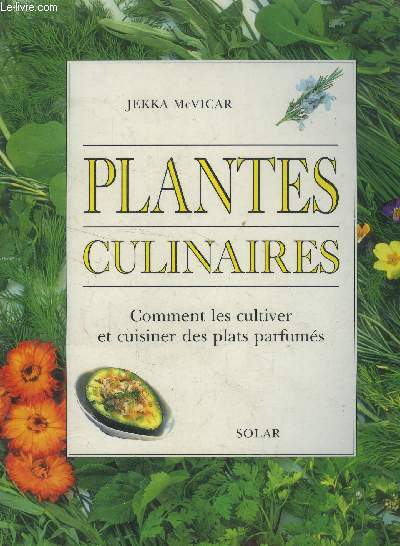 Plantes culinaires : Comment les cultiver et cuisiner des plats parfums