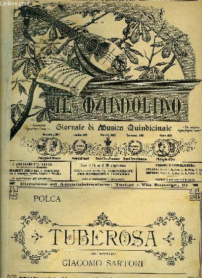IL MANDOLINO N1