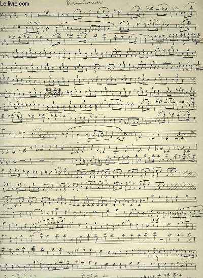 PARTITIONS MANUSCRITES : TANNHEUSER - POUR VIOLONCELLE ET VIOLON