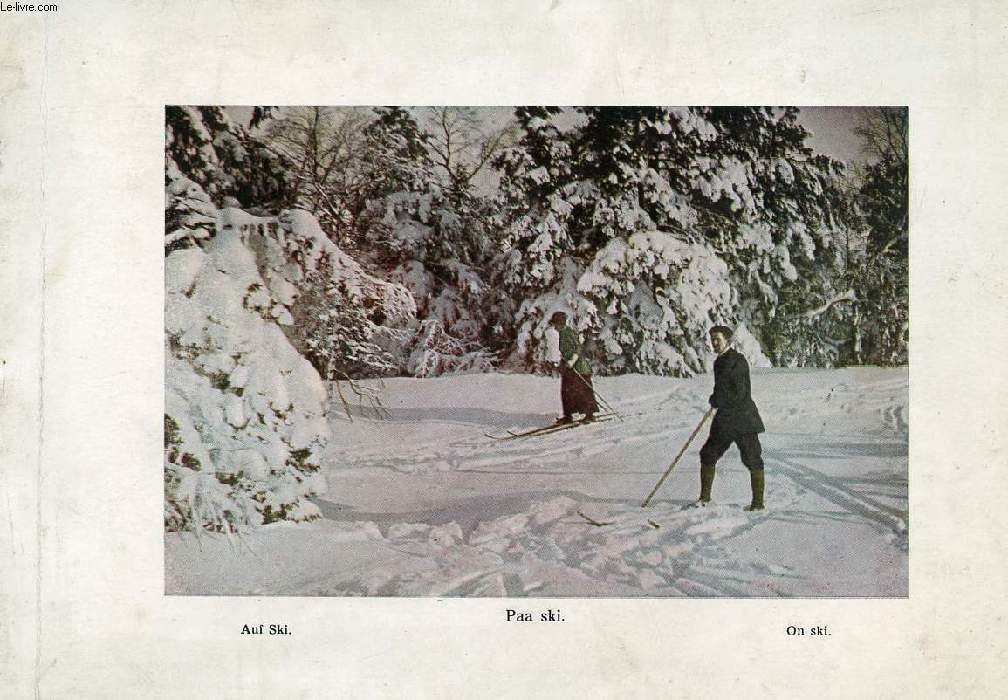 PAYSAGES SCANDINAVES (SANS TITRE)