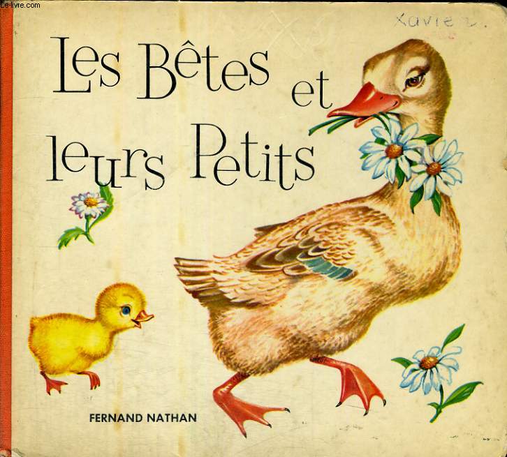 LES BETES ET LEURS PETITS