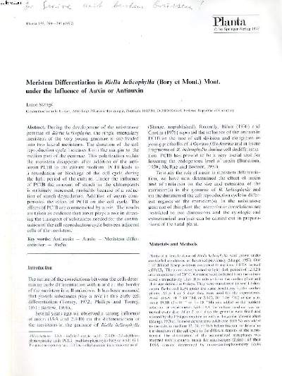 PLANTA 135, 289-295, MERISTEM DIFFERENTIATION IN RIELLA HELICOPHYLLA (BORY ET MONT.) MONT. UNDER THE INFLUENCE OF AUXIN OR ANTIAUXIN