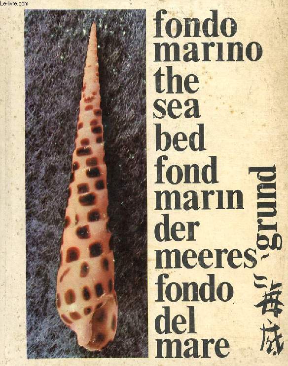 FONDO MARINO / THE SEA BED / FOND MARIN / DER MEERES / FONDO DEL MARE