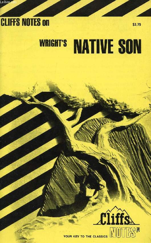 CLIFFS NOTES ON WRIGHT'S NATIVE SON