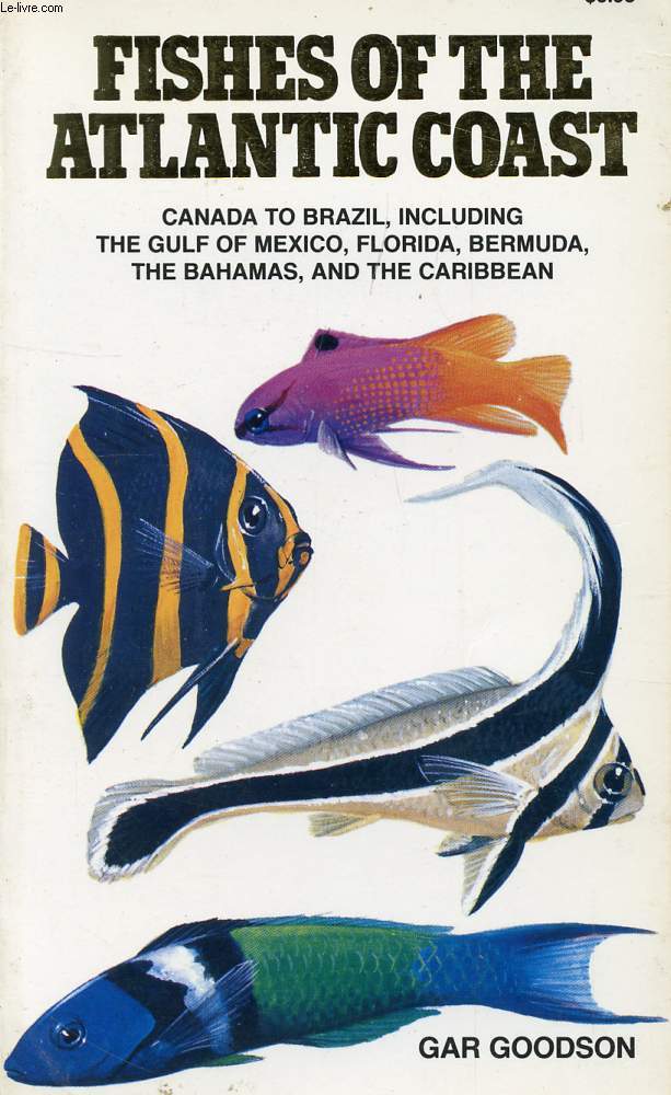 FISHES OF THE ANTLANTIC COAST