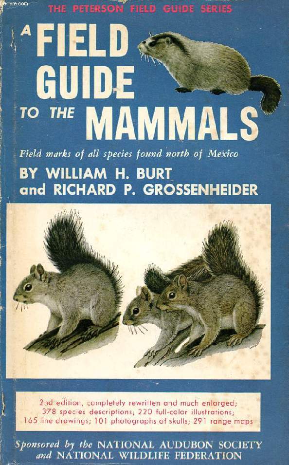 A FIELD GUIDE TO THE MAMMALS, FIELD MARKS OF ALL SPECIES FOUND NORTH OF THE MEXICAN BOUNDARY