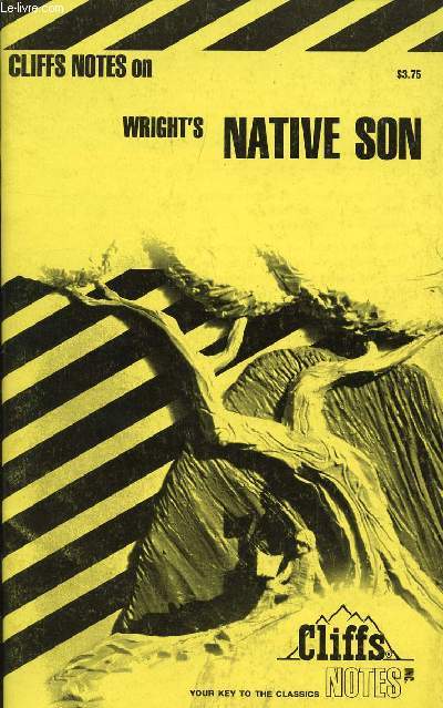 CLIFFS NOTES ON WRIGHT'S NATIVE SON