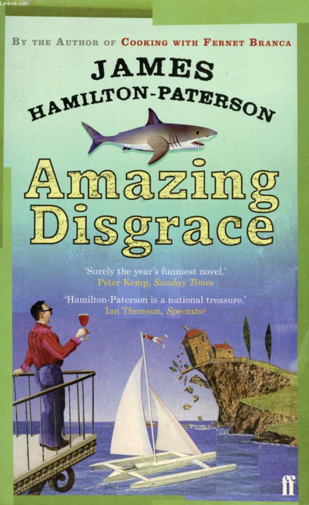 AMAZING DISGRACE