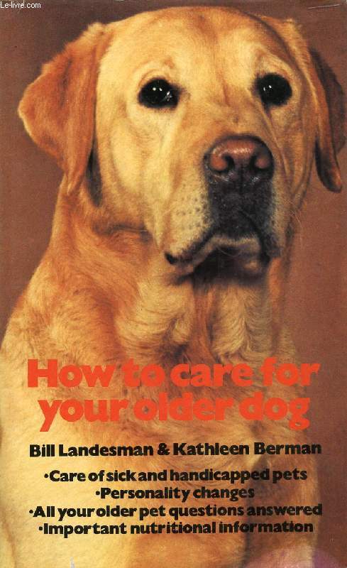 HOW TO CARE FOR YOUR OLDER DOG