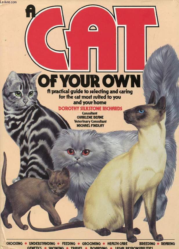 A CAT OF YOUR OWN
