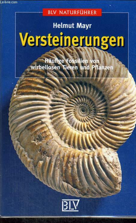 VERSTEINERUNGEN. HUFIGE FOSSILIEN VON WIRBELLOSEN TIEREN UND PFLANZEN.