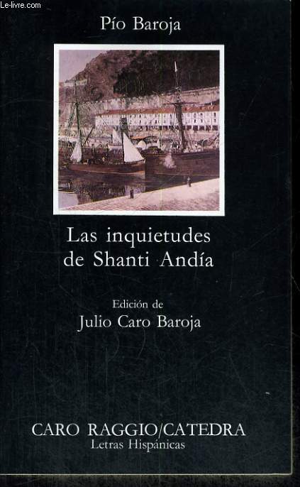 LAS INQUIETUDES DE SHANTI ANDIA